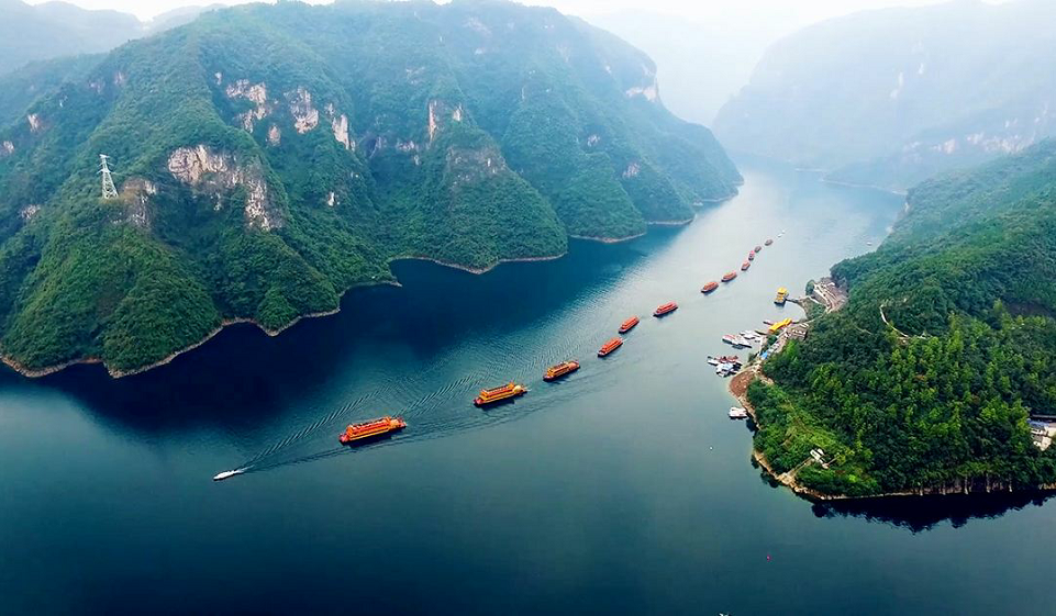 湖北致敬,领导同袍,共筑美好未来